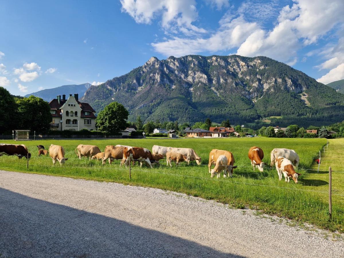 Leo-Hof Hirschwang Exterior foto
